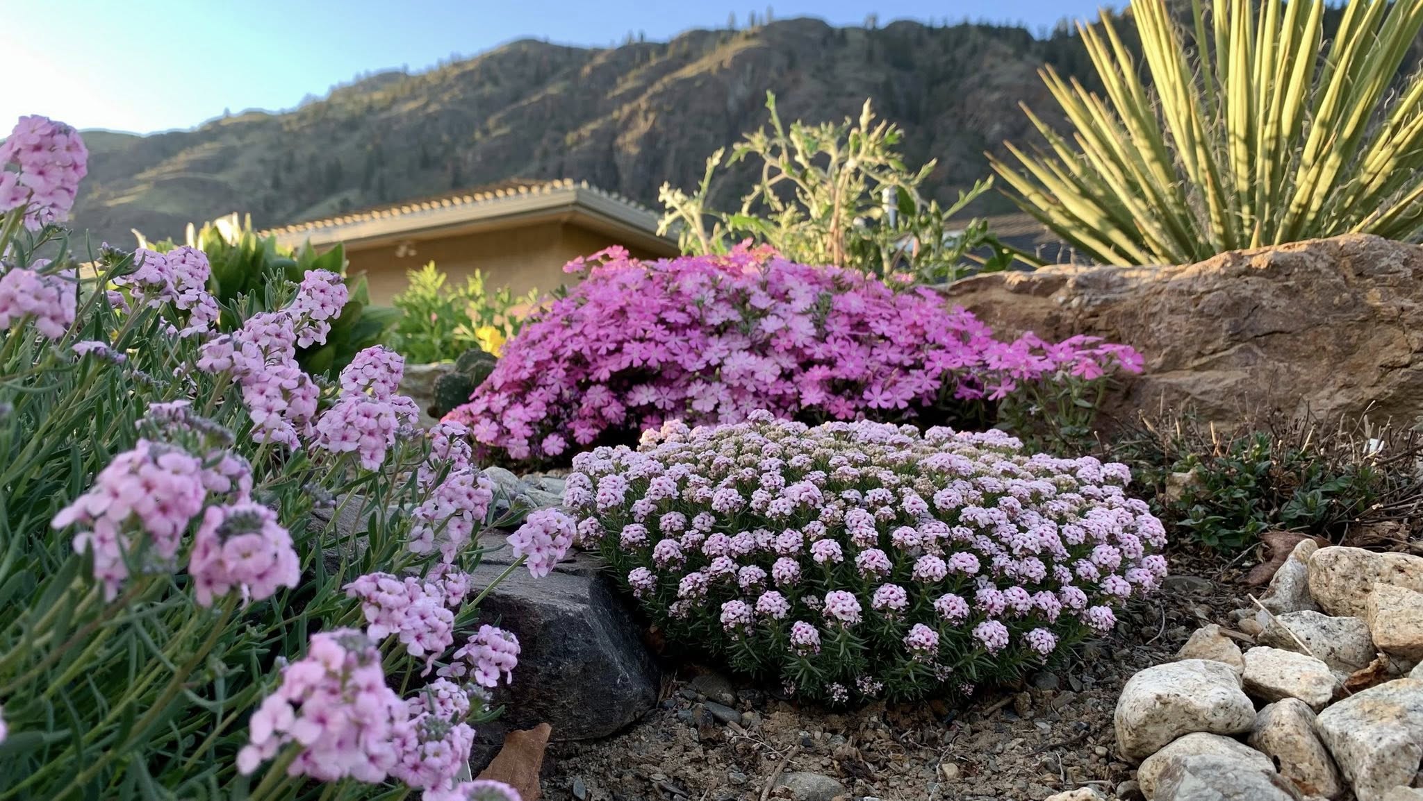Plant selection image