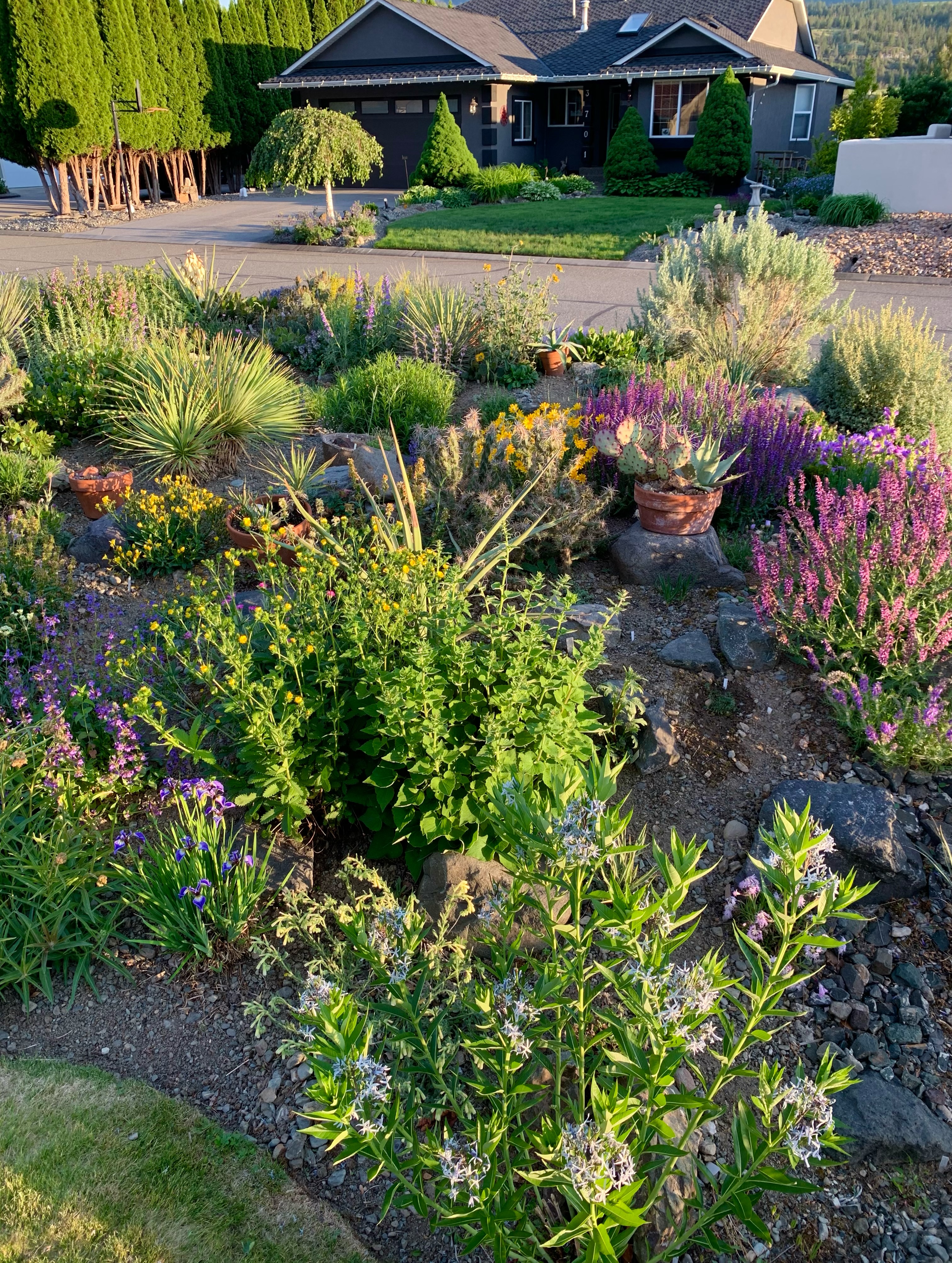 Garden contact banner