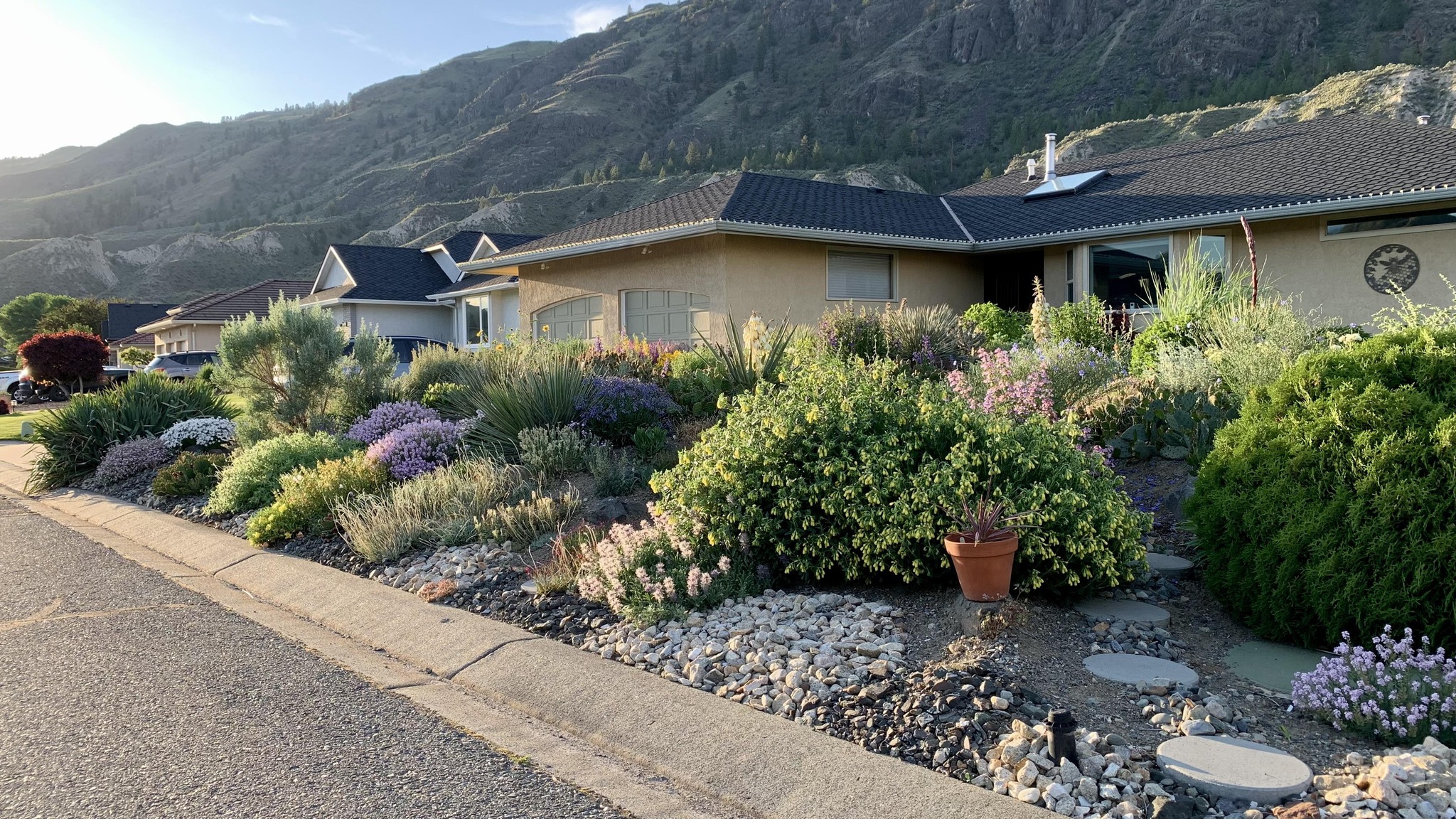 Dryland garden with mountain backdrop