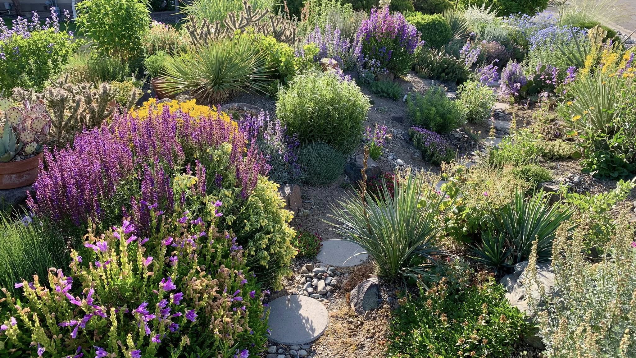 Garden and property review image